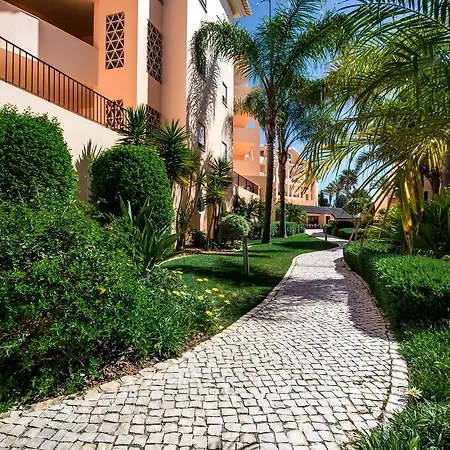 Estrela Da Praia Da Luz